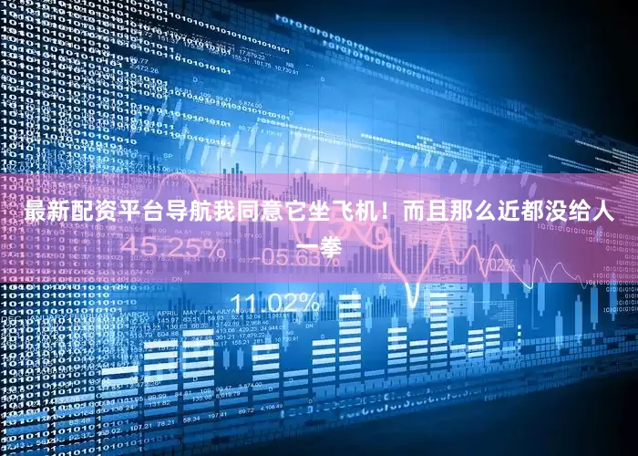 最新配资平台导航我同意它坐飞机！而且那么近都没给人一拳