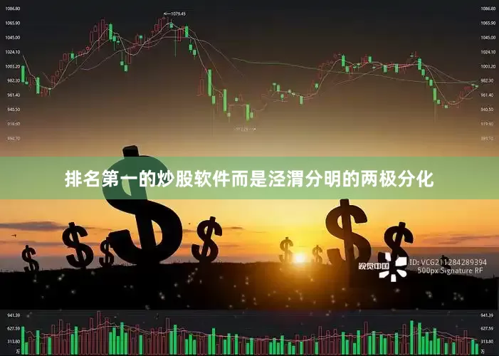 排名第一的炒股软件而是泾渭分明的两极分化