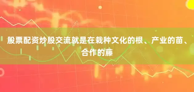 股票配资炒股交流就是在栽种文化的根、产业的苗、合作的藤