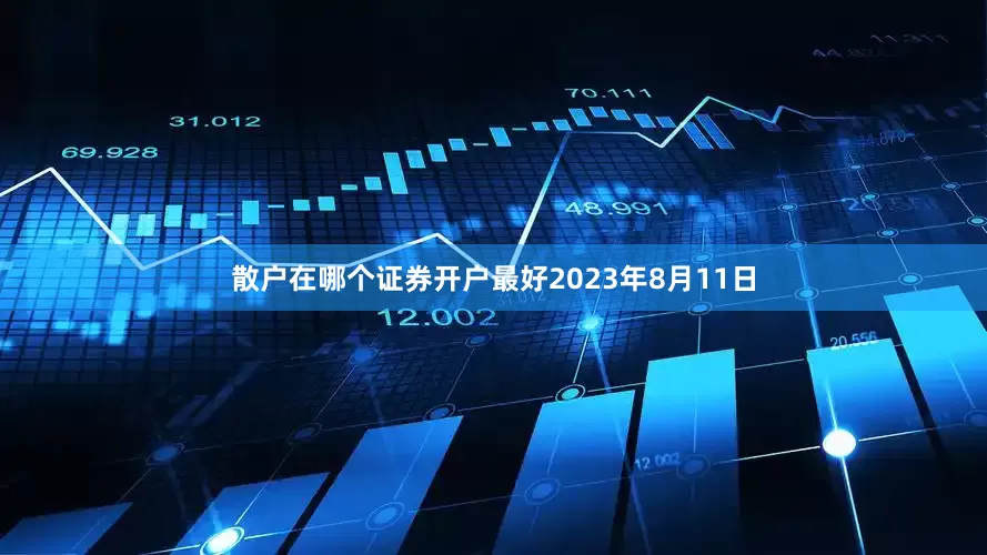 散户在哪个证券开户最好2023年8月11日