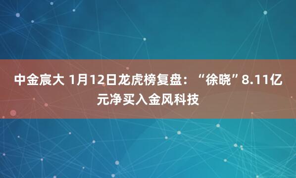 中金宸大 1月12日龙虎榜复盘：“徐晓”8.11亿元净买入金风科技